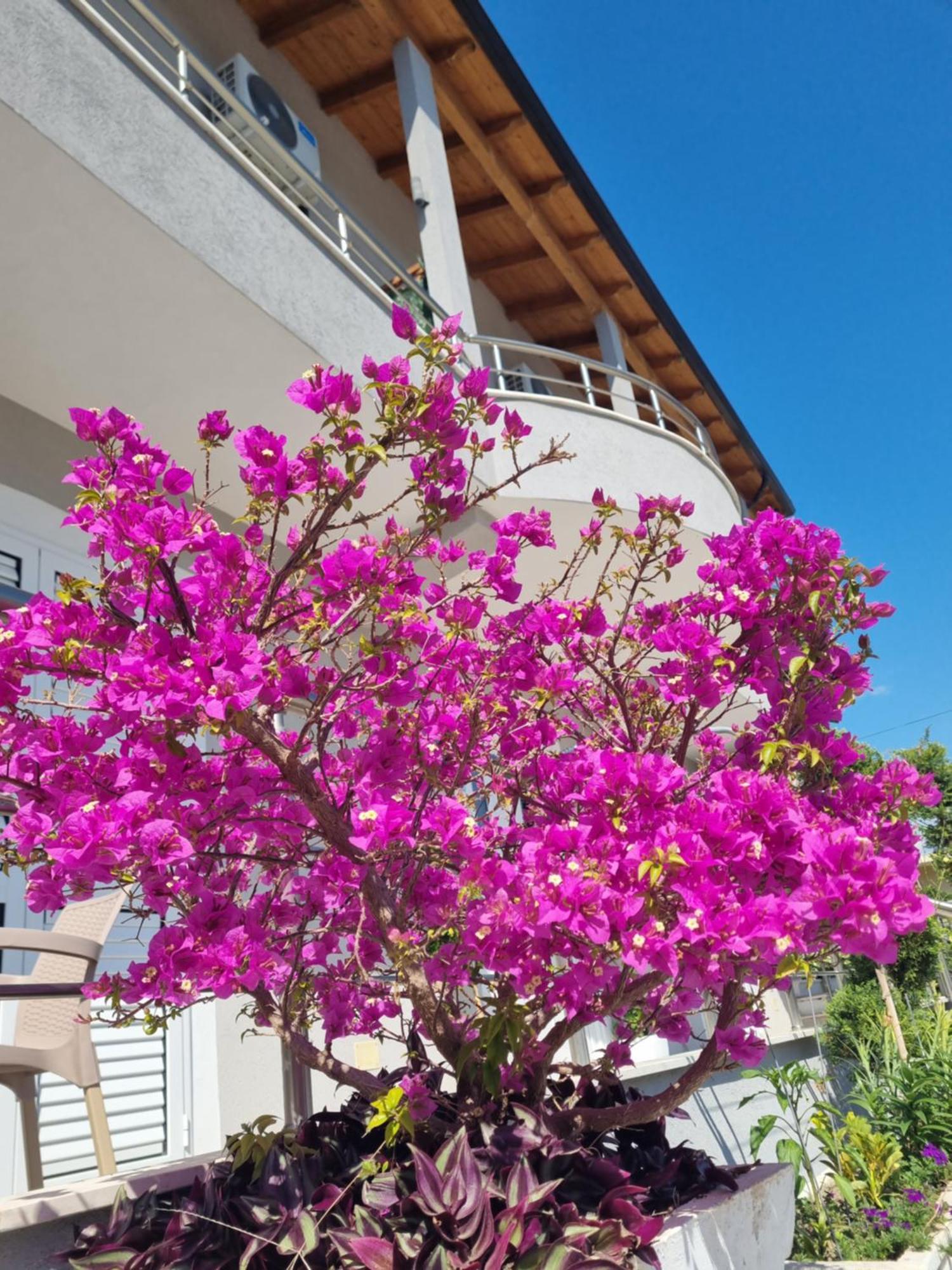 Vila Soleil Wlora Zewnętrze zdjęcie