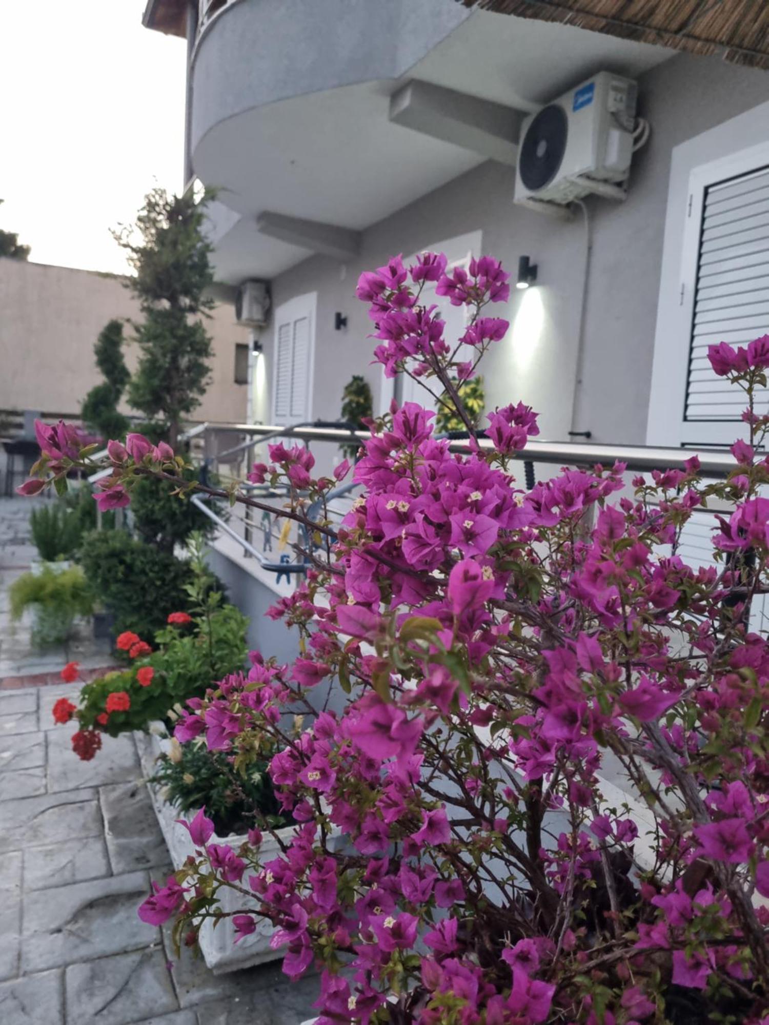Vila Soleil Wlora Zewnętrze zdjęcie